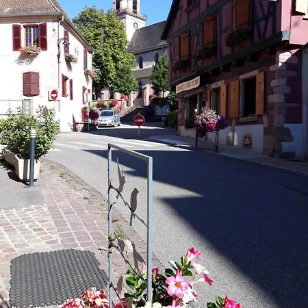 Gite Du Forgeron - 6 A 8 Personnes - Centre Alsace - Saint-Hippolyte Extérieur photo