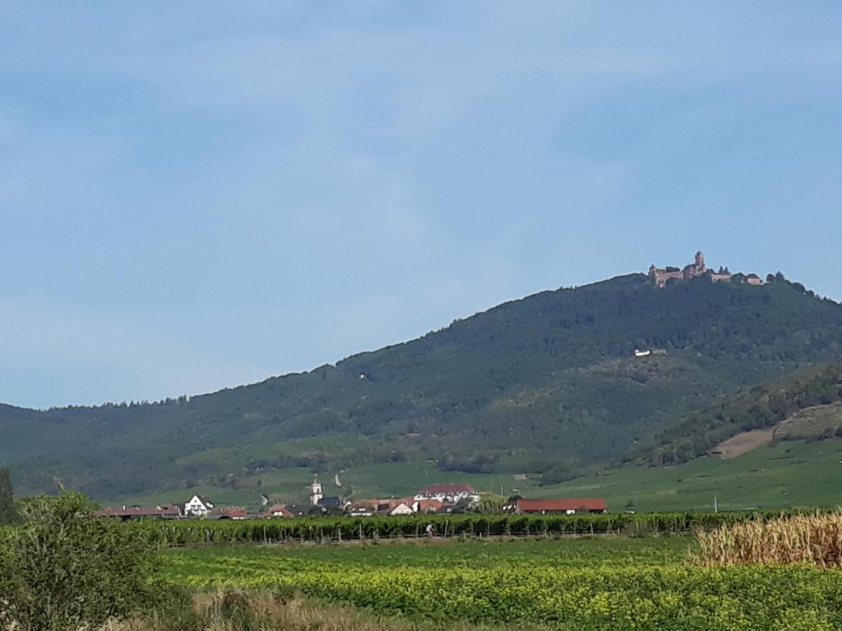 Holiday home Du Forgeron - 6 A 8 Personnes - Centre Alsace - Saint-hippolyte *