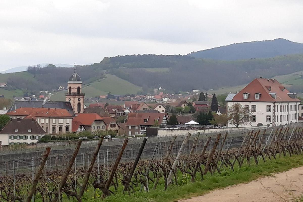 Du Forgeron - 6 A 8 Personnes - Centre Alsace - Saint-hippolyte *